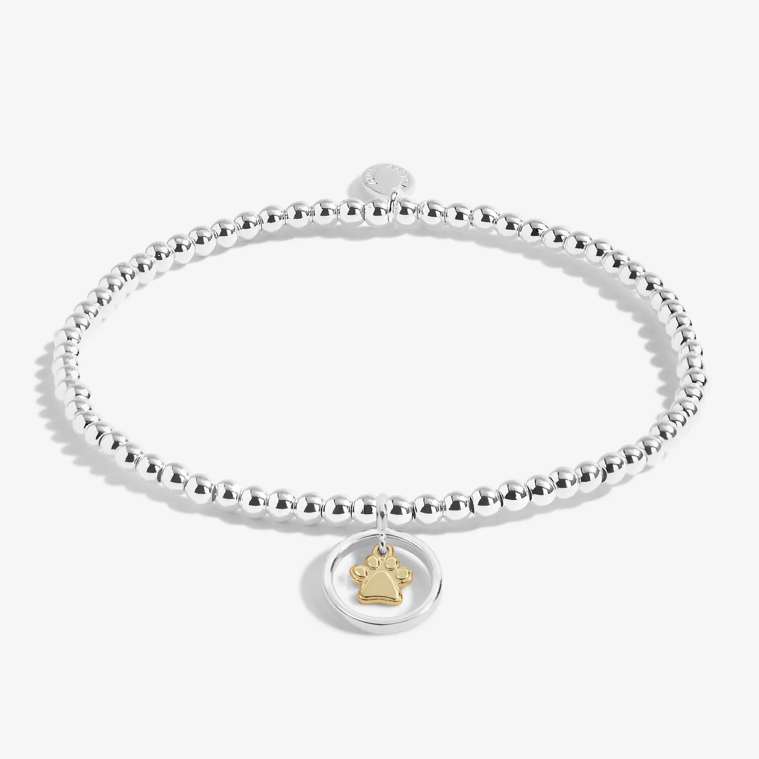 Pets Leave Pawprints On Our Hearts Silver Gold Plated 17.5cm Bracelet 6845