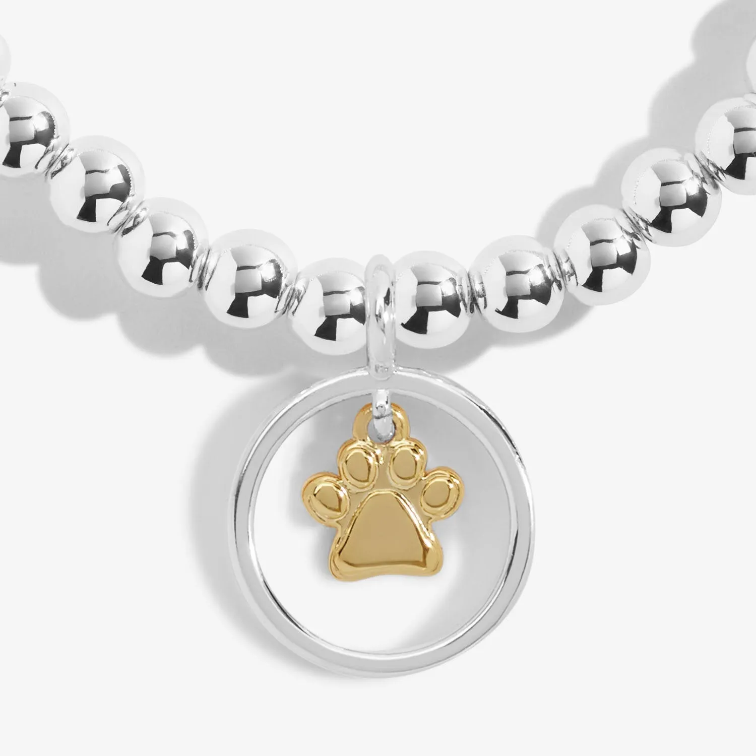 Pets Leave Pawprints On Our Hearts Silver Gold Plated 17.5cm Bracelet 6845