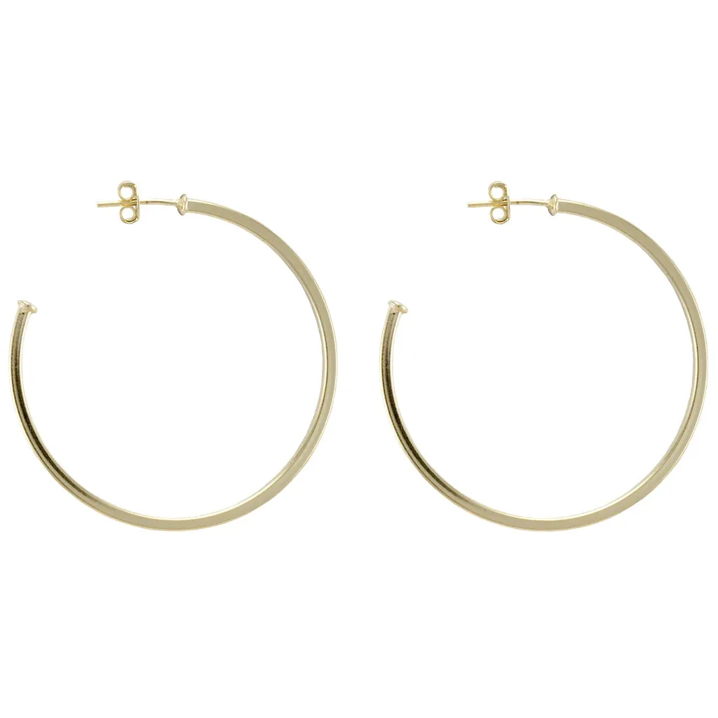 Shiny Perfect Hoops