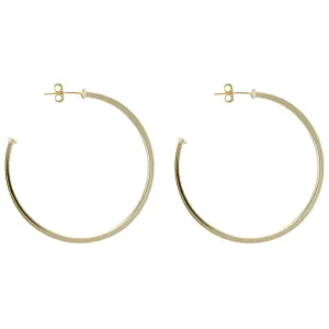 Shiny Perfect Hoops