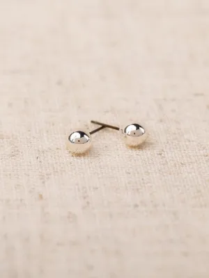 Small Shiny Silver Earring